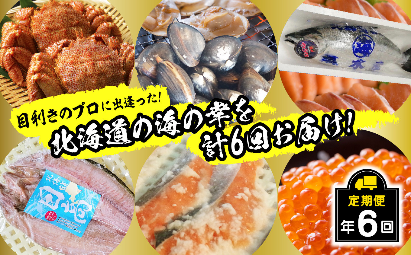 
            ＜2025年2月から順次発送＞【 定期便 6回 】 北海道産 海の幸 定期便 ＜ 予約商品 ＞ 北海道 サクラマス 鮭 いくら 蟹 北寄 貝 鱒 旬 魚介 海鮮 海産物
          