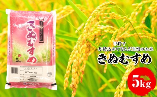 きぬむすめ 5kg 甲賀で丹精込めて育んだ自慢のお米