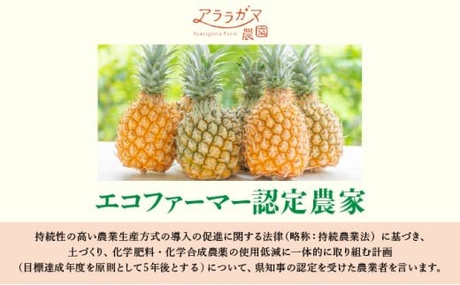 水なし、加熱なし、砂糖なし！天然まるごと！完熟生パイナップル冷凍ピューレ200ml×9本セット