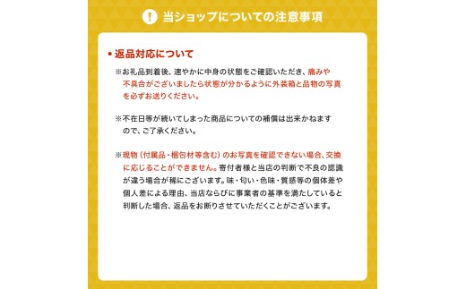 先行予約 旬の梨 品種おまかせ 約1.8kg （5～8玉）【2026年8月上旬～2026年10月中旬配送予定】梨 なし ナシ 幸水 豊水 秋月 新高 新興 秋麗 甘太 凛果 にっこり 愛宕 果物 フルーツ くだもの おまかせ 国産 熊本県 日本フルーツ