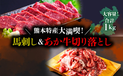 【熊本特産品】あか牛 馬刺し セット 計1㎏ 赤身馬刺し 赤身馬刺しセット 馬刺しセット ばさし basashi 熊本馬刺し 国産馬刺し 馬肉 ばにく 馬肉セット 馬 赤身馬肉 あか牛 赤牛 あかうし 熊本あか牛 あか牛 切り落とし 和牛 和牛切り落とし 馬刺し詰め合わせ あか牛セット あか牛詰め合わせ 希少和牛 特産品 小分けパック 小分けセット 真空 真空パック 冷凍 熊本 熊本県 阿蘇市