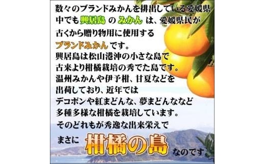 【2025年11月下旬頃より順次発送】興居島みかん 約6kg（L〜Sサイズ） 愛媛 みかん 柑橘 興居島 ごごしま ブランド  みかん 蜜柑 柑橘  フルーツ 愛媛県 松山市