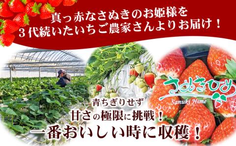 いちご 先行予約 朝採り さぬきひめ 250g × 2パック 丸亀産 フルーツ 果物 デザート おやつ 旬 産地直送 旬の果物 旬のフルーツ お取り寄せ 取り寄せ 冷蔵 冷蔵配送 2025 先行 予約