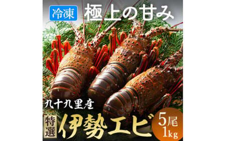伊勢海老 活け〆リキッド冷凍伊勢海老 刺身用 5尾 約1kg 九十九里 ｴﾋﾞ ｴﾋﾞ ｴﾋﾞ ｴﾋﾞ ｴﾋﾞ ｴﾋﾞ伊勢海老 伊勢海老 伊勢海老 