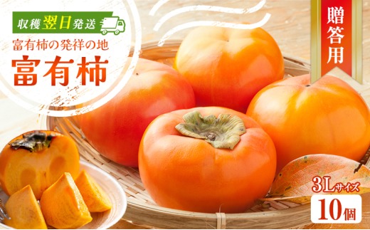 富有柿発祥の地から収穫翌日発送！【贈答用】富有柿3Lサイズ10個｜かき フルーツ カキ 果物 くだもの 産地直送 岐阜県 瑞穂市 お取り寄せ ※離島への配送不可 ※2025年11月～12月中旬頃に順次発送予定