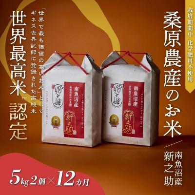ふるさと納税 南魚沼市 【毎月定期便】ギネス世界記録「世界最高米」認定 最高級南魚沼産新之助5kg×2袋桑原農産の米全12回