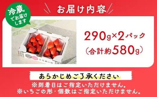 いちご（とちあいか） 290g×2パック 580g以上 ｜ ※2026年11月～発送