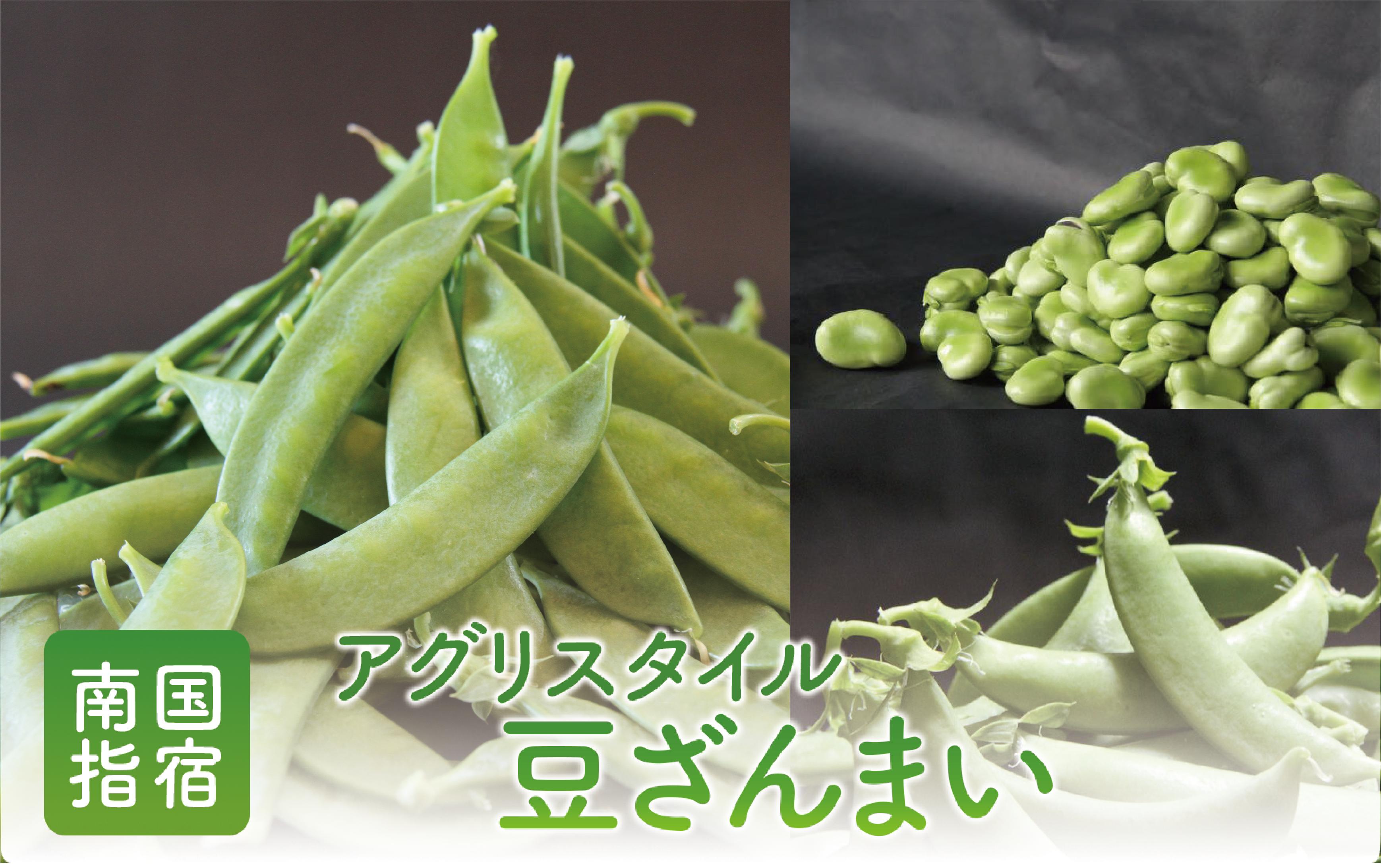 【2026年1月中旬〜発送】豆ざんまい(アグリスタイル/A-294) 鹿児島県 指宿市 新鮮 直送 レンジで簡単調理 豆 えんどう豆 スナップエンドウ そら豆 国産 野菜 キヌサヤエンドウ 絹サヤ さや付きそら豆 オランダエンドウ