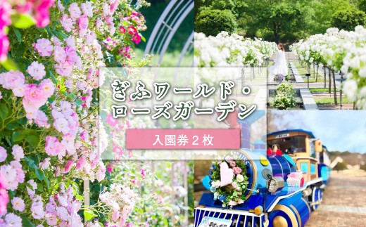 ぎふワールド・ローズガーデン 入園券 2枚【 岐阜県 可児市 世界最大級 バラ園 チケット セット ネモフィラ ひまわり コスモス 花 フラワー バラ ローズ 自然 カフェ ピクニック 鑑賞 自然 リラックス フラワー 】