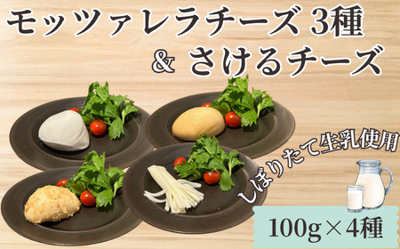 モッツァレラ 3種＋ チギチー チーズ 4種セット チーズ チーズ