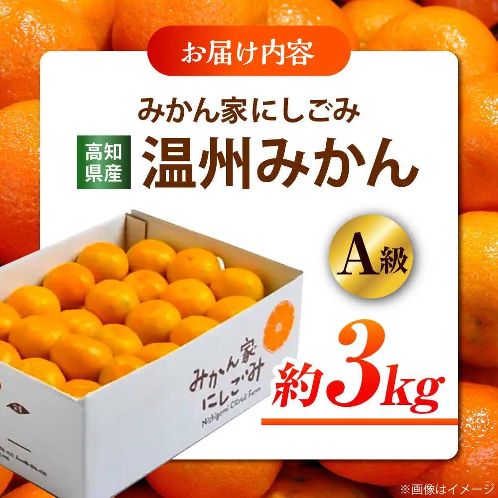 【先行予約】＜サイズおまかせ＞高知県産温州みかんA級品 約3kg ＜2026年11月上旬～2026年12月下旬頃発送＞/ みかん 柑橘 オレンジ 高知県 温州 【株式会社にしごみ】[ATEA010]