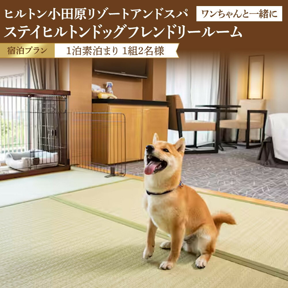 【ふるさと納税】【チケット有効期限延長！】ワンちゃんと一緒にステイヒルトンドッグフレンドリールーム素泊まり（平日）【オーシャンビュー フィットネス 天然温泉大浴場 バーデゾーン 朝食ビュッフェ 都心から1時間のリゾート ヒルトン 神奈川県 小田原市 】