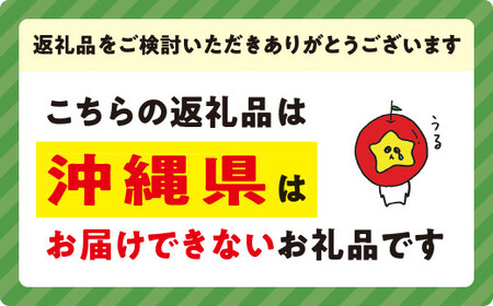 りんご サンつがる 秀～特秀3kg マルハ農園 沖縄県への配送不可 2026年9月上旬頃から2026年9月中旬頃まで順次発送予定 令和8年度収穫分 エコファーマー認定 信州 果物 フルーツ リンゴ 林