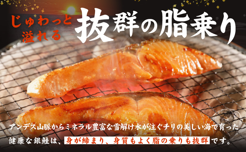 熟成 銀鮭 切り身 辛口塩味 合計 1.5kg（13切れ前後） 010B1366