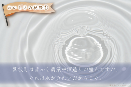 ★令和6年産★【2回定期便】特別栽培米 ひとめぼれ 5kg 岩手県紫波町産 (AD046)