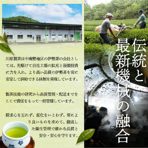伊勢茶 一番茶 緑茶 ペットボトル 1ケース 500ml × 24本 緑茶