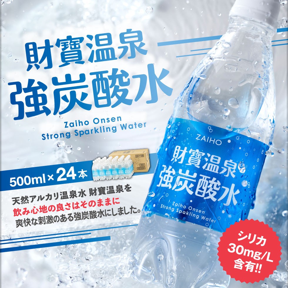 財寶温泉強炭酸水 500ml×24本