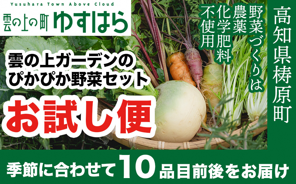 
            農薬化学肥料不使用 雲の上ガーデンのぴかぴか野菜セット【お試し便】季節にあわせて10品目前後をお届け【L001】季節 旬 詰め合わせ 採れたて 新鮮 産地直送 高知県産 冷蔵便
          