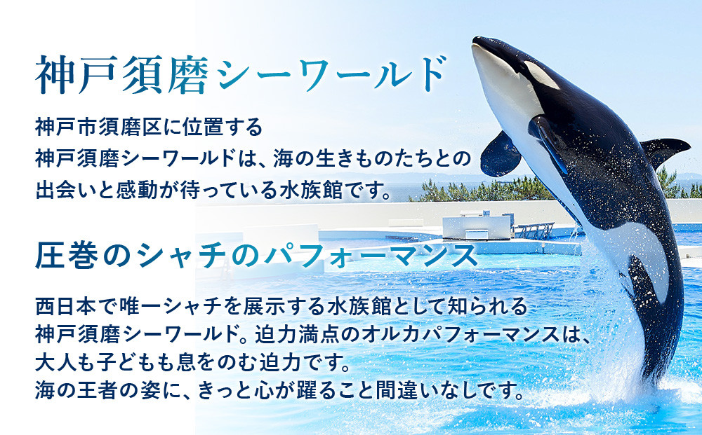神戸須磨シーワールド（水族館）入館券　３枚セット（有効期限：2026年10月1日～2027年3月31日）