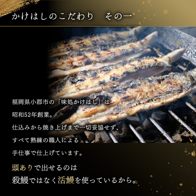 心に染みる かけはし 特大 国産 うなぎ 蒲焼き 2尾 1尾あたり300～400g 国産 鰻 美味しい 備長炭焼き ふっくら肉厚 タレ付き 贅沢 ボリューム満点 ご褒美 グルメ お取り寄せ 福岡 老舗
