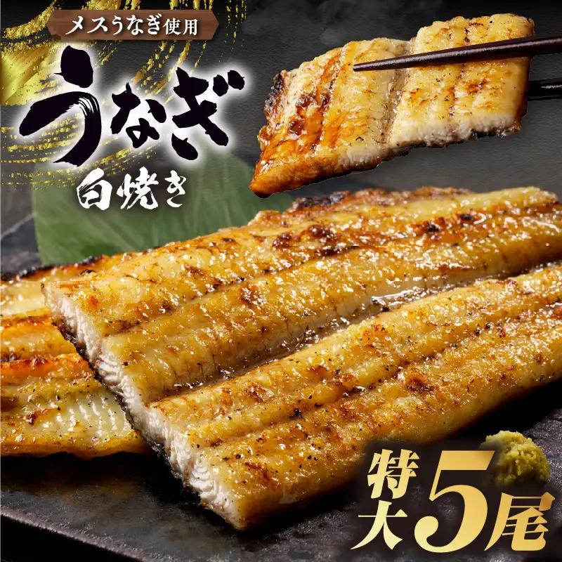 【TVで紹介！】うなぎ 白焼き 特大5尾 875ｇ以上  鰻 _74-381