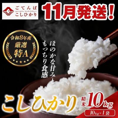 ふるさと納税 小山町 【令和8年産】米 コシヒカリ 10kg 精米 静岡県産 特A 厳選【11月発送】