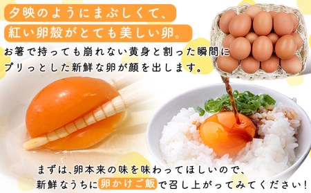 畠中育雛場のげんきタマゴん 30個 《30日以内に出荷予定(土日祝除く)》福岡県 鞍手郡 小竹町 卵 送料無料 有限会社畠中育雛場