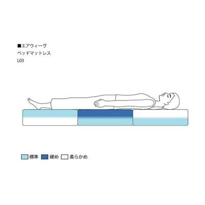 ふるさと納税 大府市 【大府市産新米5合付き】エアウィーヴ ベッド マットレス L03  ダブル |  | 03
