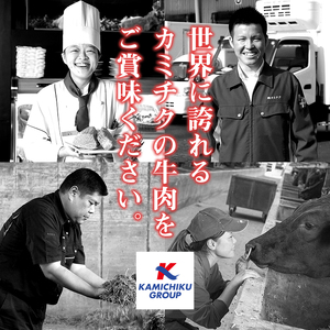 No.1015-m09 ＜2025年9月中に発送予定＞鹿児島県産黒毛和牛切落し(計900g・300g×3P)牛肉 切落し 切り落し 和牛 冷凍 国産 九州産 小分け 国産牛 お肉 牛丼 野菜炒め カレ