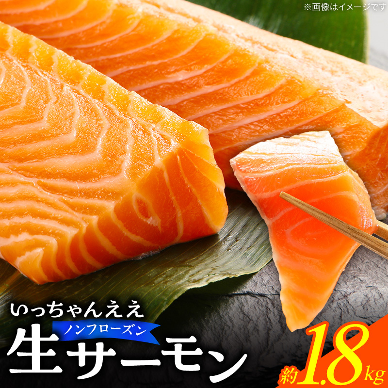 いっちゃんええ【ノンフローズン】生サーモン 全て手作業 半身 約1.8kg_FJ1002