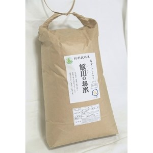 【令和6年産】能登のコシヒカリ　飯川のお米　10kg(精米10kg×1袋)【1086155】