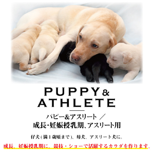 ワンフー ラブガド パピー＆アスリート(計3kg・200g×15袋)wanfoo ペットフード ドックフード 犬 ペット ウサギ肉 個包装【sm-CG001-A】【環境プラント工業】