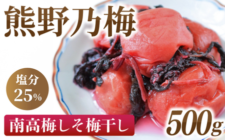 梅干し 南高梅 熊野乃梅 500g 梅干し【snby0001A】
