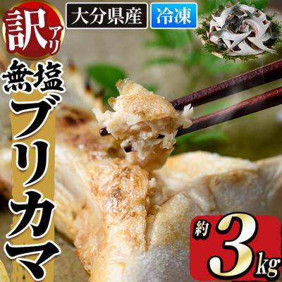 ふるさと納税 佐伯市 <訳あり>無塩ブリカマ(約3kg)