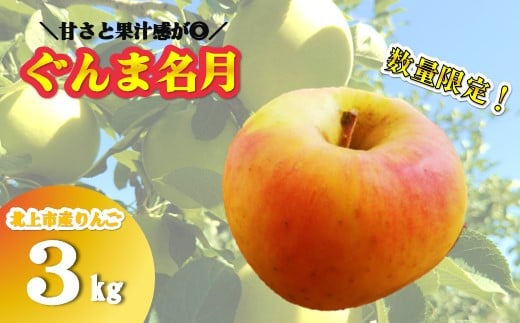 予約受付 ＼ 10月下旬発送開始予定 ／ 【 北上市産 りんご 】 ぐんま名月 3キロ (約8～12玉) 【 贈答用 / 数量限定 】国産 林檎 リンゴ 岩手県 北上市 D0449 金鈴園