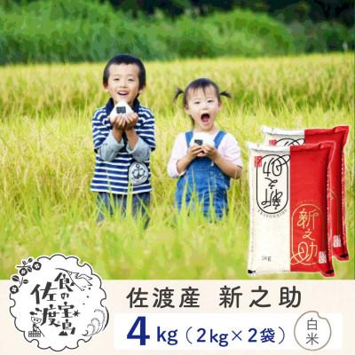 ふるさと納税 佐渡市 佐渡島産新之助 白米4Kg(2Kg×2袋) 令和7年産【食の宝島佐渡】