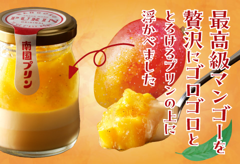【宮崎産】完熟生マンゴープリンpremium【6個ギフトボックス】