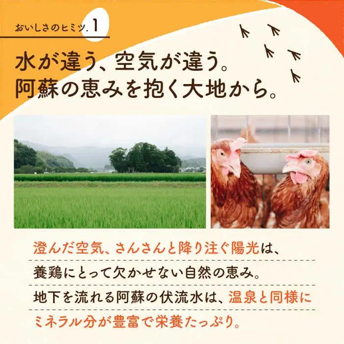 【全12回定期便】赤たまご M玉 90個（85個＋5個割れ保証）【株式会社 かもと養鶏】タマゴ 玉子 熊本県 卵 国産 新鮮 あかたまご M玉  濃厚   [ZCA016]