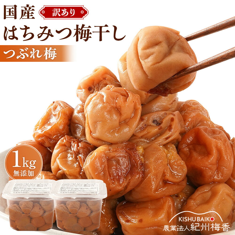 【ふるさと納税】はちみつ梅 無添加 梅干し 訳あり つぶれ梅 約1kg(500gパック×2個) 低塩6% 6-G ［KU1］ | 梅干し 梅干 食品 加工食品 人気 おすすめ 送料無料