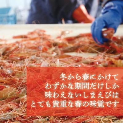 ふるさと納税 乙部町 <シマエビ(冷蔵)　1kg>甘く濃厚な味わい! 北海道 道産 国産 乙部町産 しまえび 海老 日本海 |  | 01
