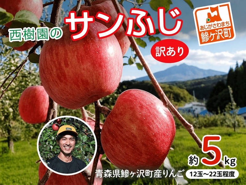 《先行予約》 りんご 訳あり サンふじ 青森県産 約 5kg  (12～22玉） 家庭用 フルーツ 果物 ふじ 産地直送 お取り寄せ 送料無料 青森県 鰺ヶ沢町 《西樹園》