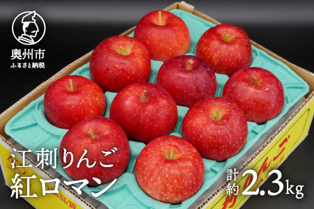 数量限定 江刺りんご 紅ロマン 2.3kg(8～11玉) 【8月下旬以降お届け】離島配送不可 [AQ021]