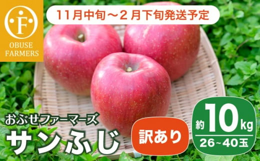 【訳あり】 サンふじ 約10kg 26～40玉［おぶせファーマーズ］不揃い 規格外 家庭用 りんご 林檎 リンゴ 果物 フルーツ ふじ 長野 信州 数量限定 令和6年産  【 2024年11月中旬～2025年2月下旬発送】［F-540］