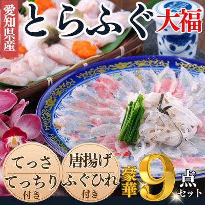 ふるさと納税 南知多町 純国産【大満足】 とらふぐ セット (大福) 岬だより
