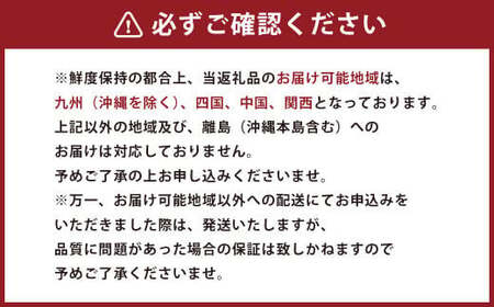 熊本県産 ブラッドオレンジ 約5kg オレンジ 果物 みかん 蜜柑 柑橘 【2026年2月下旬発送開始】