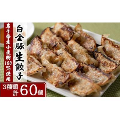 ふるさと納税 花巻市 手造り生餃子3種食べ比べセット (肉・しそ巻き・スタミナにら) 各10個×2パック 合計6パック