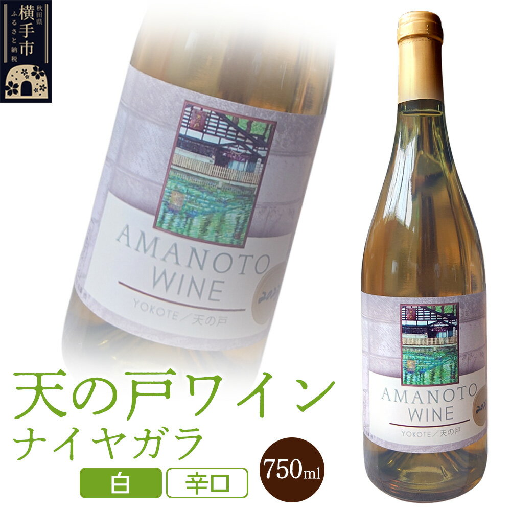 【ふるさと納税】天の戸ワイン(ナイヤガラ）750ml