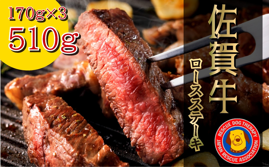 
佐賀牛ロースステーキ 合計510g
