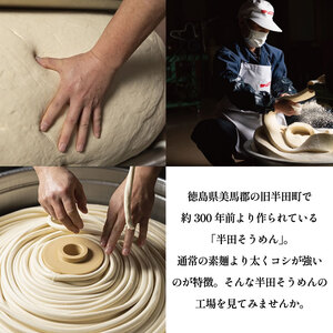 半田そうめん 工場見学 大人3名様 チケット 