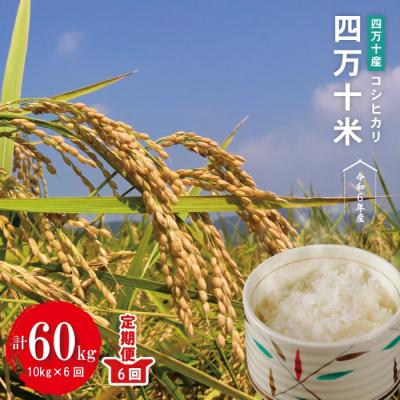 ふるさと納税 四万十市 【令和7年産・6回定期】四万十産 四万十米(コシヒカリ)10(5kg×2袋)×6回 (計60kg